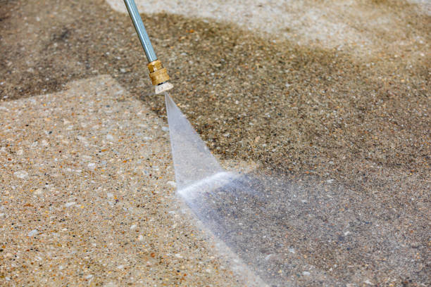 Best Animal Enclosure Cleaning  in Fruit Cove, FL